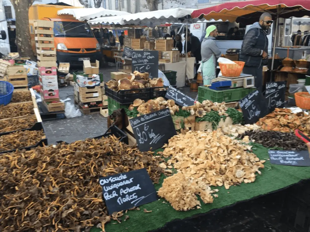 [a table in outdoor market with a variety of mushrooms on display]