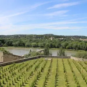 [A scenic view of vineyards and a river from a hilltop.) Avignon Wine Tour, Avignon Popes