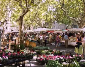 [beneath tall leafy trees people shop the weekly Uzès marché, a market in Provence with flowers and colorful stalls on a sunny provencal French day]