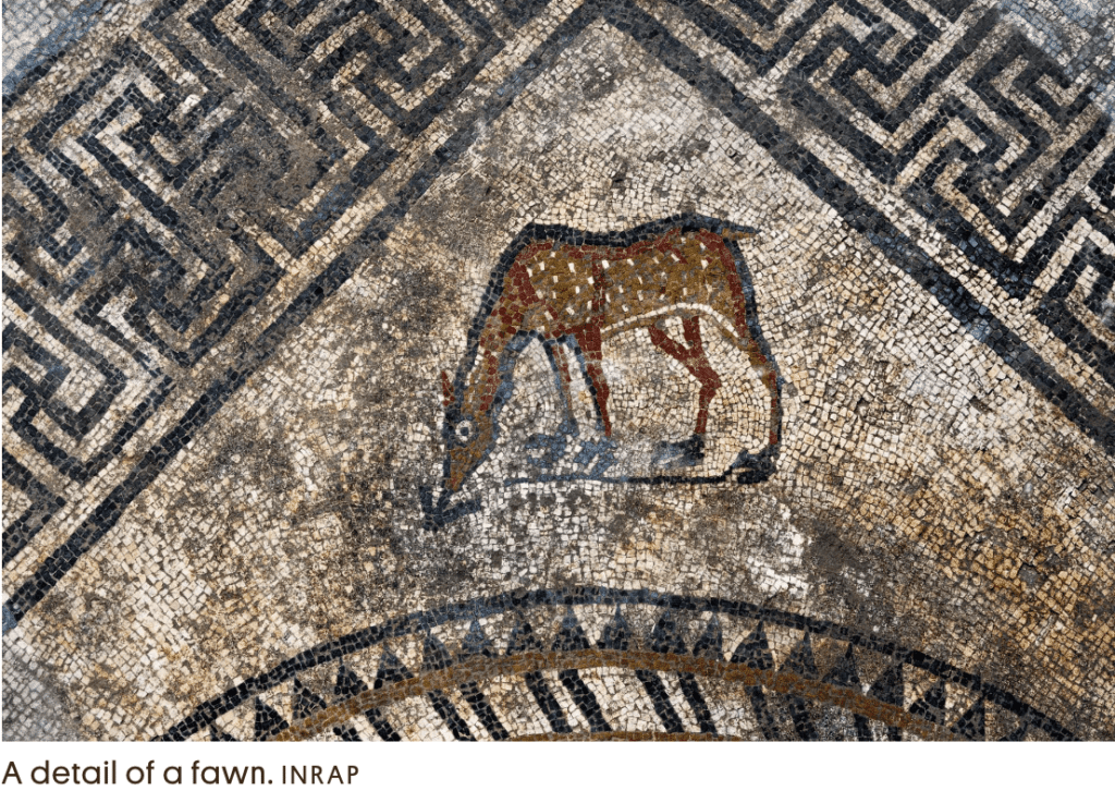 [a photo of a roman mosaic showing detail of a fawn from an excavation by INRAP in Uzes France a hidden medieval roman town and hidden gem of France]