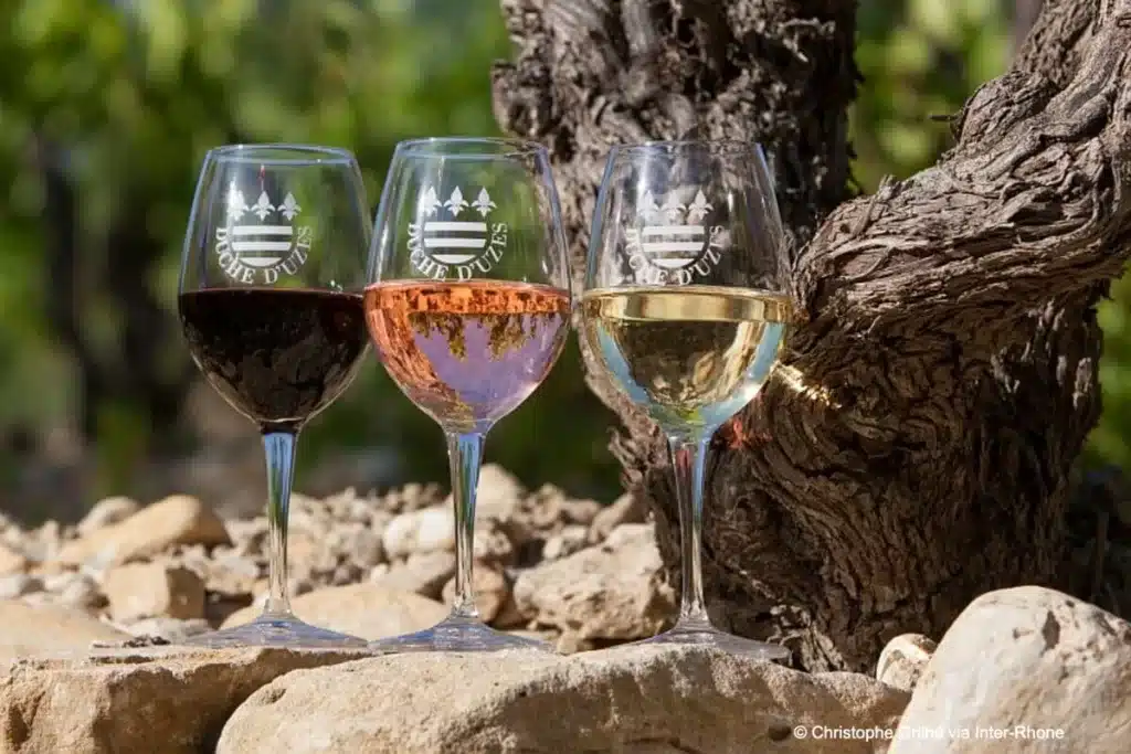 [three wine glasses each emblazoned with the Duché d'Uzès appellation logo, showing varieties of red, white and rose wines, set on rocks near a mature grapevine]