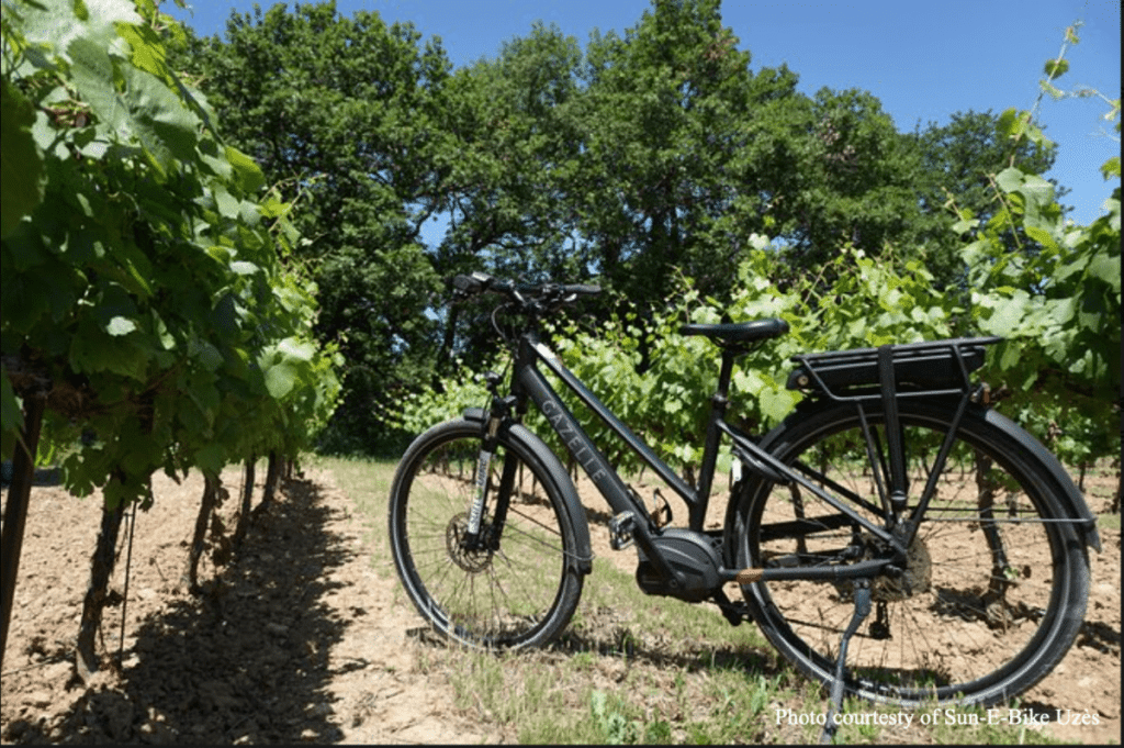 [an electric bik is parked amidst grapevines near Uzes France]