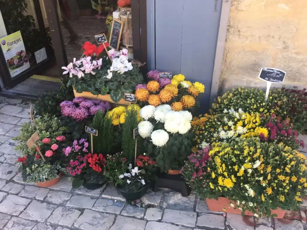 [a display of colorful flowers outside of florist shop in Uzes France]