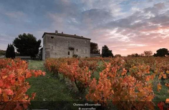 [A vineyard with red leaves and a building in the background.] Vineyard stays near Avignon, Avignon map France, Wine tasting near Avignon
