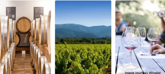 [three images: a row of wooden barrels, green vineyard, people seated at an outdoor table with wine glasses] Avignon Wine Tours, Avignon Wine tour , Best Avignon wine tours, Wine tours Avignon, Wine tours France Avignon, Avignon Wine Experience
