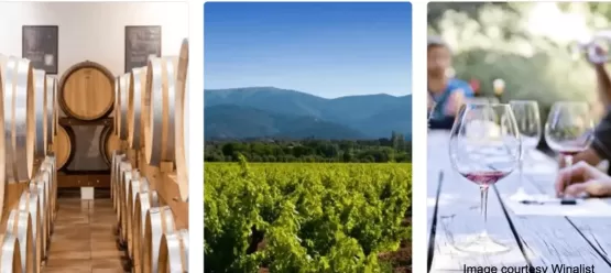 [three images: a row of wooden barrels, green vineyard, people seated at an outdoor table with wine glasses] Avignon Wine Tours, Avignon Wine tour , Best Avignon wine tours, Wine tours Avignon, Wine tours France Avignon, Avignon Wine Experience