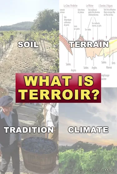 [what is terroir graphic shows soil terrain tradition climate]