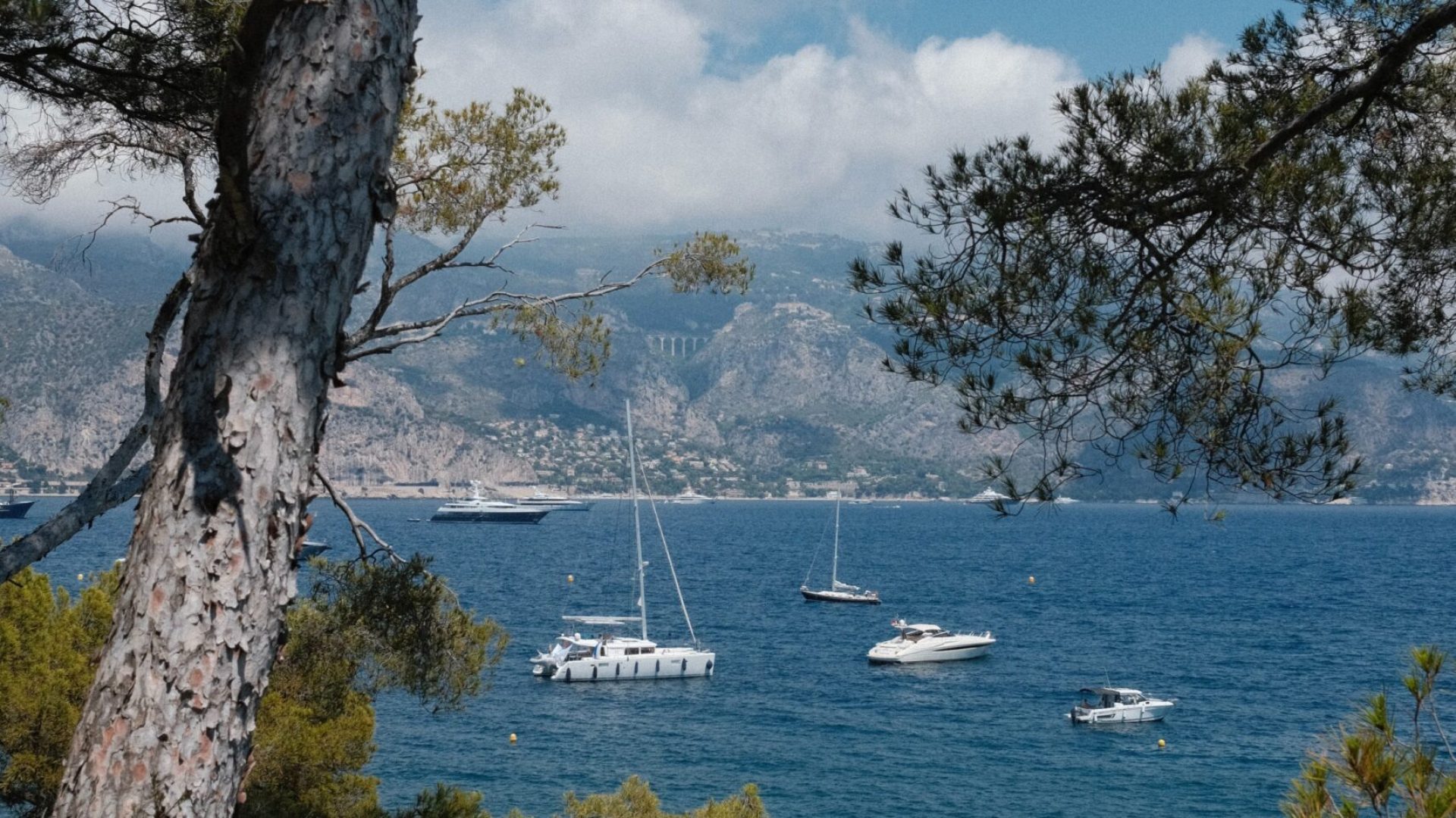 [sailboats on blue sea with pine trees framing them and mountains in background.] south of france