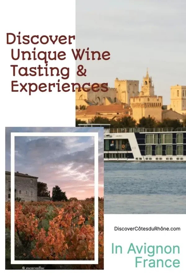 pin - UniqueAvignonWineExperiences1